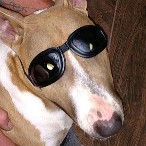 Meet your Posher, Kenneth